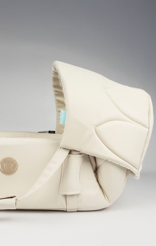 Canopy for SleepCarrier