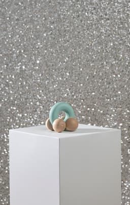 Jouet à pousser en bois